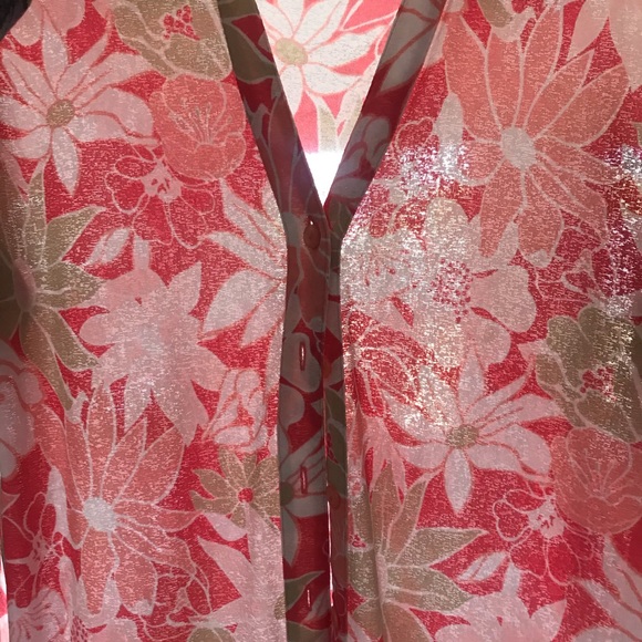 Semi-Sheer 70s Vibe Long Sleeve - Picture 4 of 4